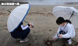 うみの環境しらべ隊