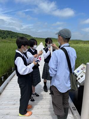 木道での自然観察