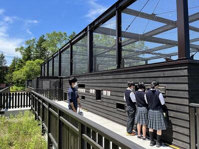 釧路湿原野生生物保護センター・猛禽類医学研究所訪問