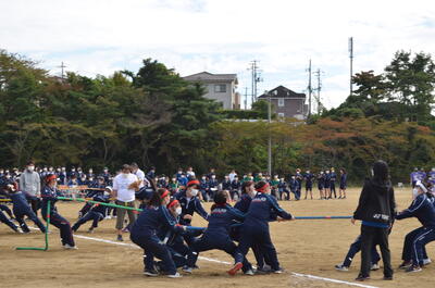 五色綱引き　３つの学年で力を合わせて