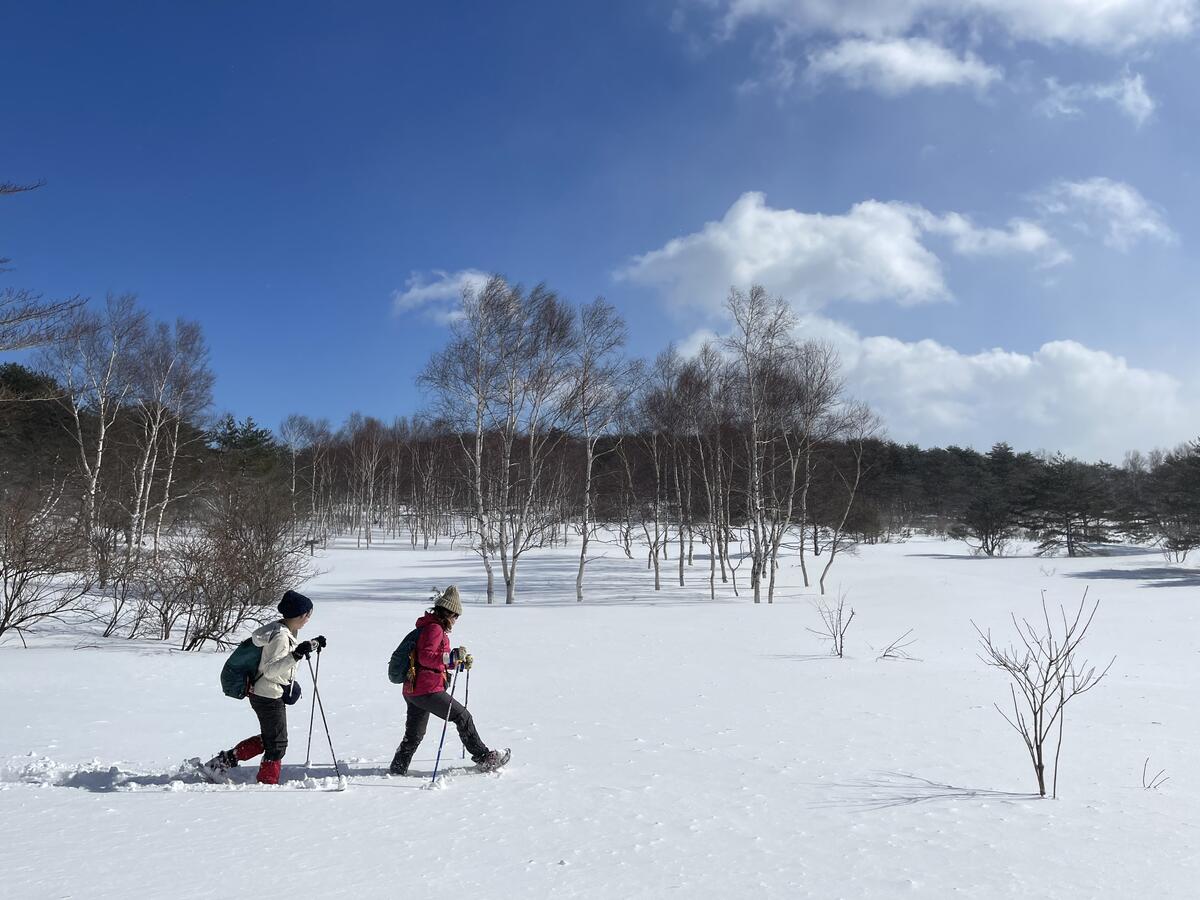 山岳部雪上歩行訓練・泉ヶ岳兎平付近の一コマ
